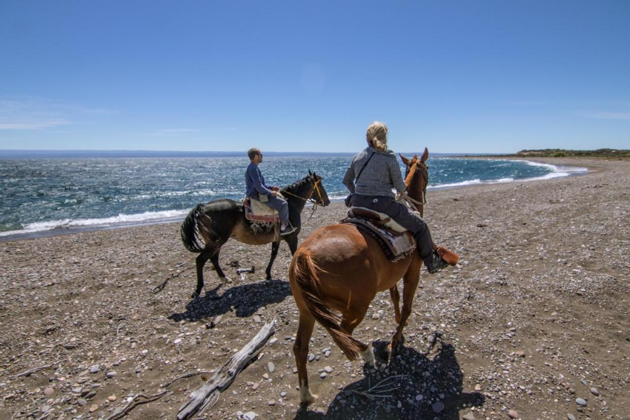 Estancia La Serena Перито Морено Екстериор снимка